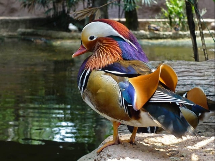 Nature is the best artist, and that's 17 evidence