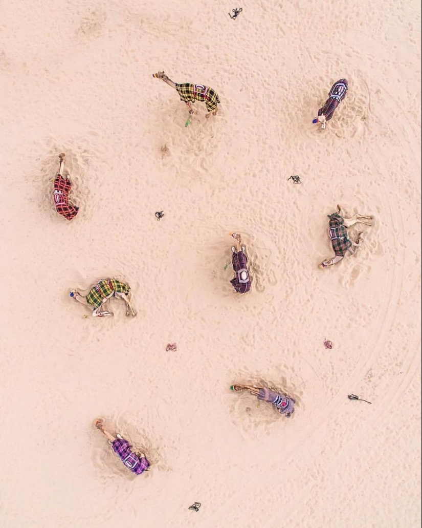 Nature versus people: the photographer filmed from the drone, as the desert devours Dubai and Abu Dhabi