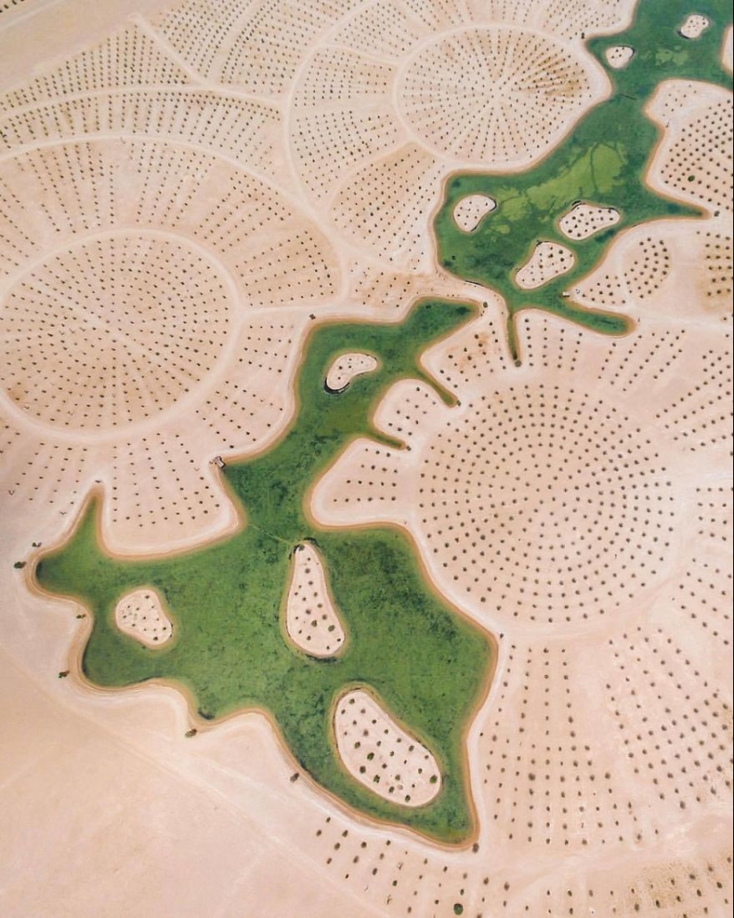 Nature versus people: the photographer filmed from the drone, as the desert devours Dubai and Abu Dhabi