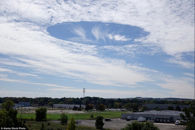 Nature's surprises - these unrealistic photos will make you want to look twice