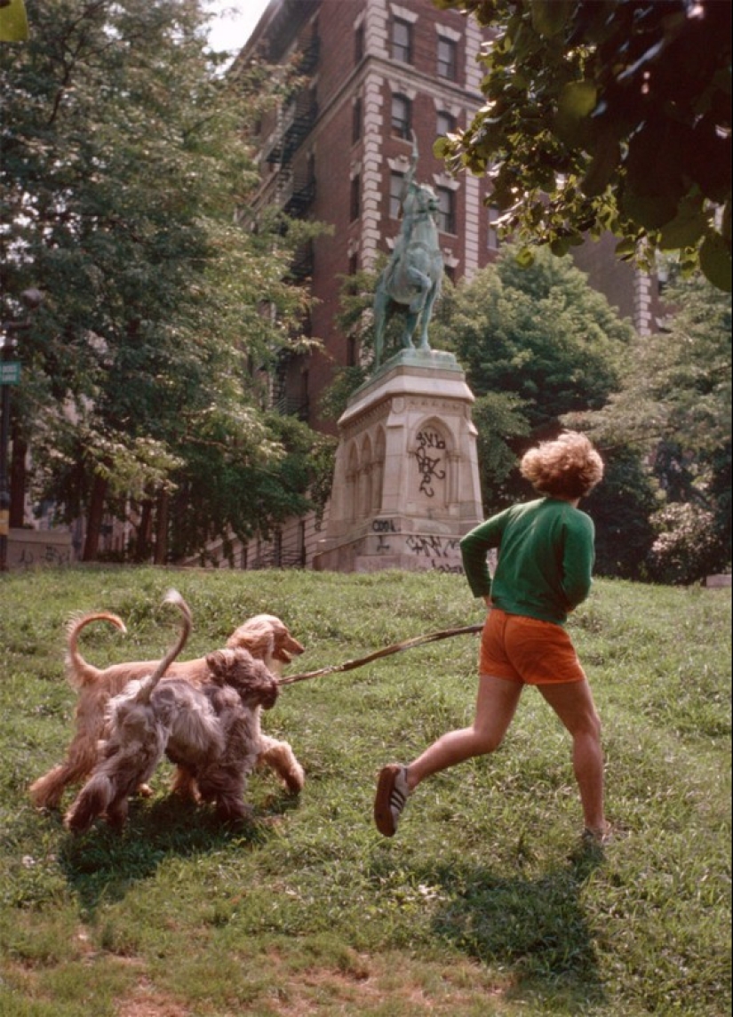 New York, which learned only after 40 years