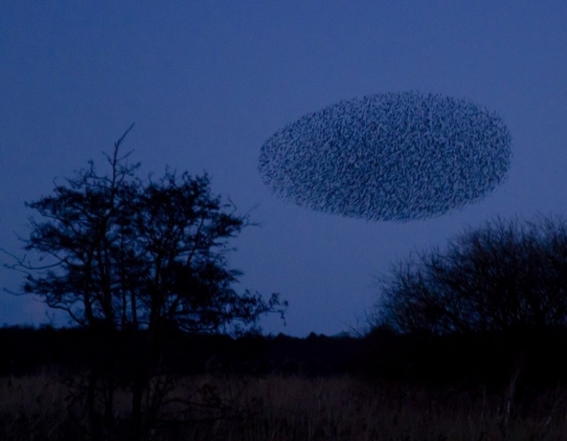 Ni una gota de Photoshop! 25 photoproofs que de la naturaleza con la imaginación de todos los derechos Ni una gota de Photoshop! 25 photoproofs que de la naturaleza con la imaginación de todos los derechos
