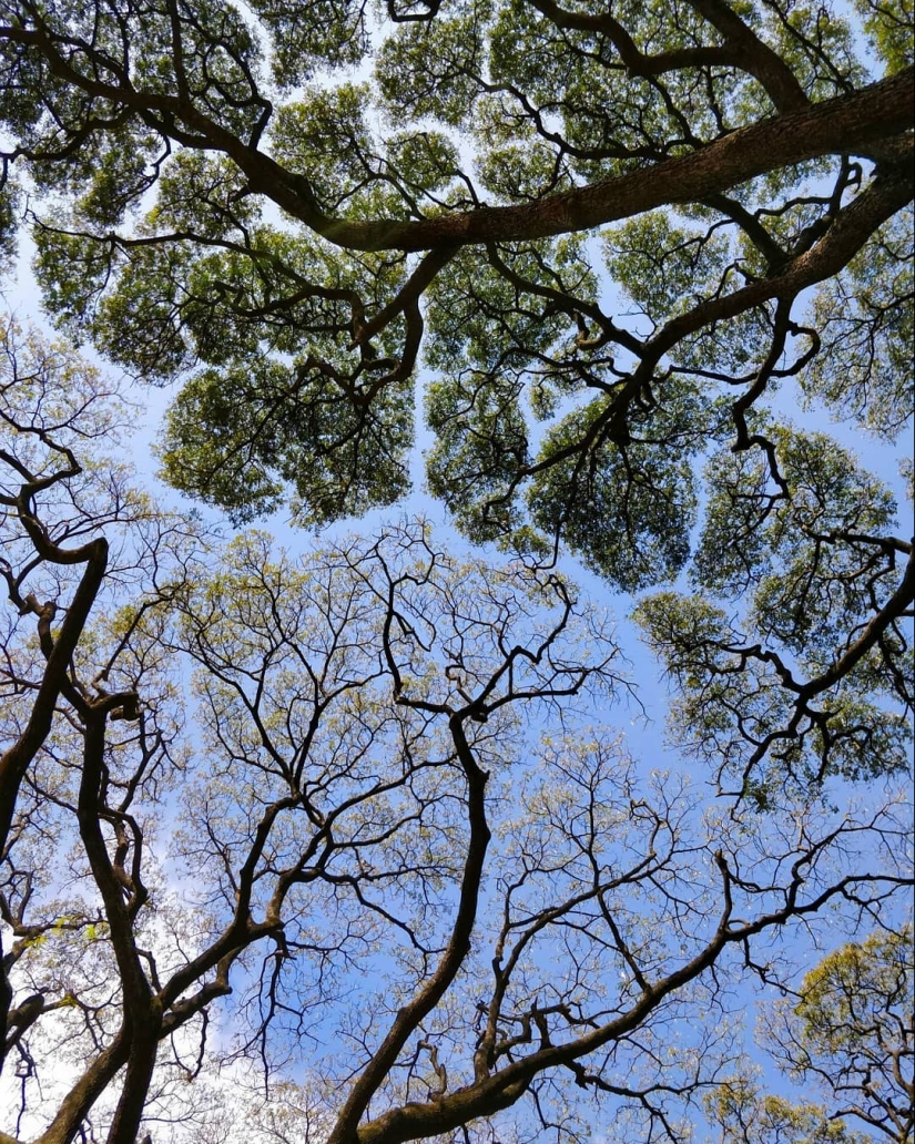 Ni una gota de Photoshop! 25 photoproofs que de la naturaleza con la imaginación de todos los derechos Ni una gota de Photoshop! 25 photoproofs que de la naturaleza con la imaginación de todos los derechos