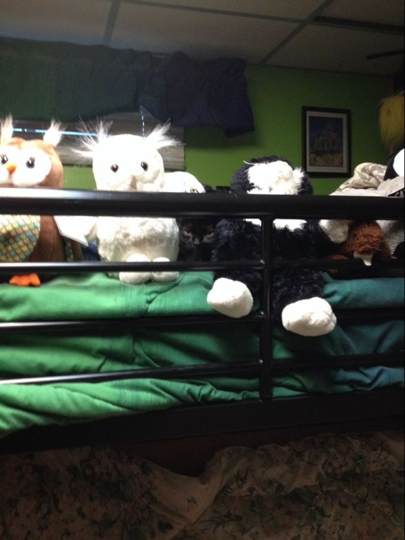Ninja cats who have mastered the ancient martial art of ninjutsu to perfection