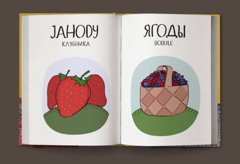 No “basura”, sino “sala de juegos”: un divertido diccionario ilustrado checo-ruso