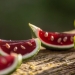 No es para beber, y de la diversión para las recetas de deliciosos platos y bebidas alcohólicas No es para beber, y de la diversión para las recetas de deliciosos platos y bebidas alcohólicas