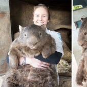 No photomontage! 26 objects that are much bigger in reality than you thought No photomontage! 26 objects that are much bigger in reality than you thought