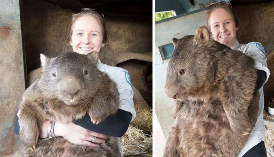 No photomontage! 26 objects that are much bigger in reality than you thought