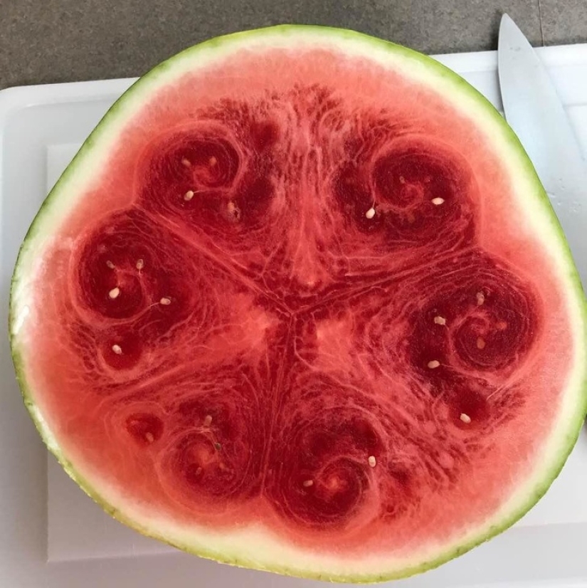 No puedes quitar la vista de encima: 22 impresionantes fotos de comida que no puedes evitar compartir