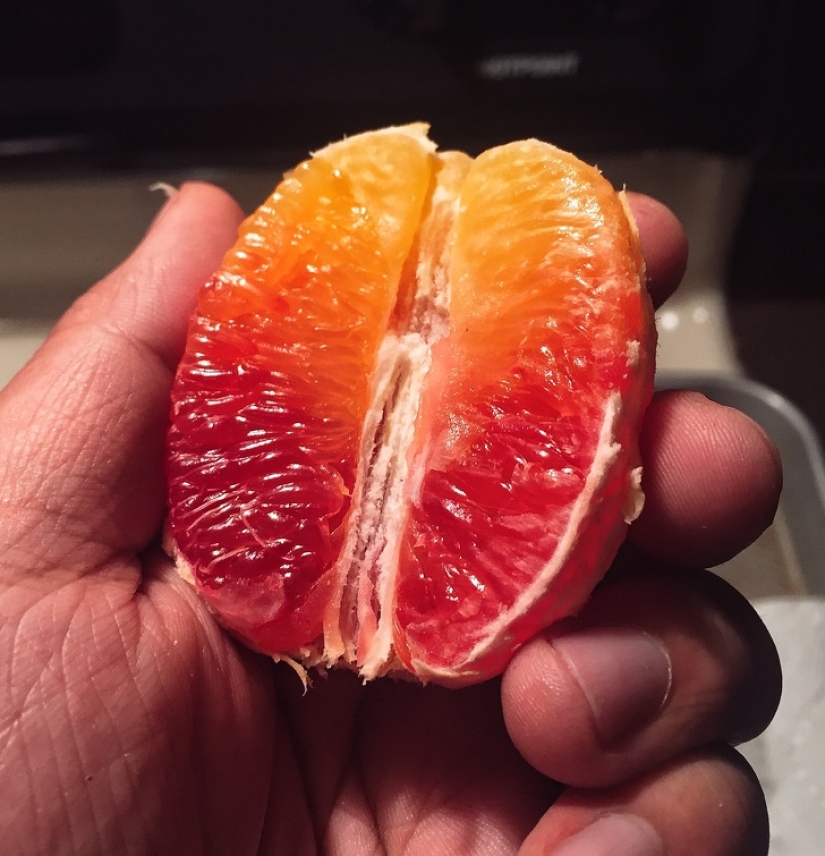 No puedes quitar la vista de encima: 22 impresionantes fotos de comida que no puedes evitar compartir