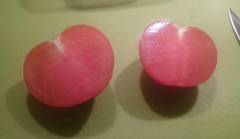 No puedes quitar la vista de encima: 22 impresionantes fotos de comida que no puedes evitar compartir