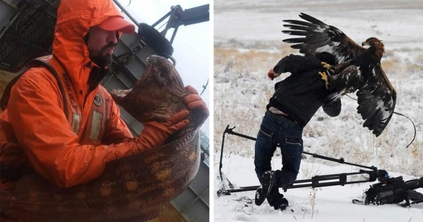 ¡No se puede jugar con la naturaleza! 22 fotos que te convencerán de esto
