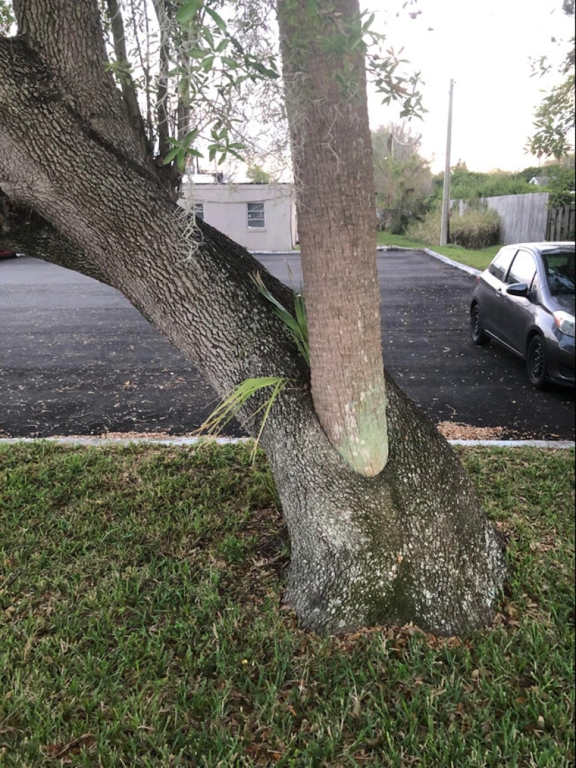 ¡No se puede jugar con la naturaleza! 22 fotos que te convencerán de esto
