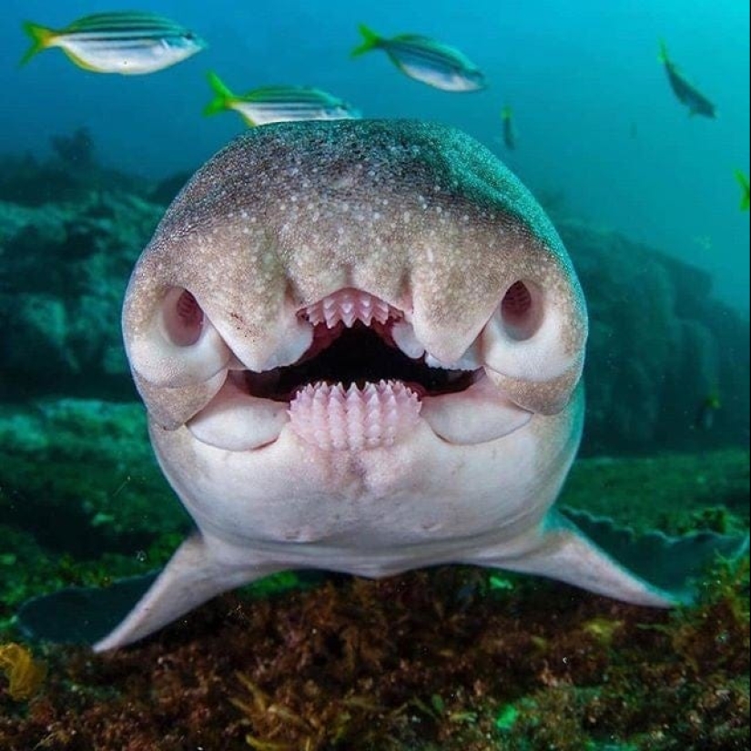 ¡No se puede jugar con la naturaleza! 22 fotos que te convencerán de esto