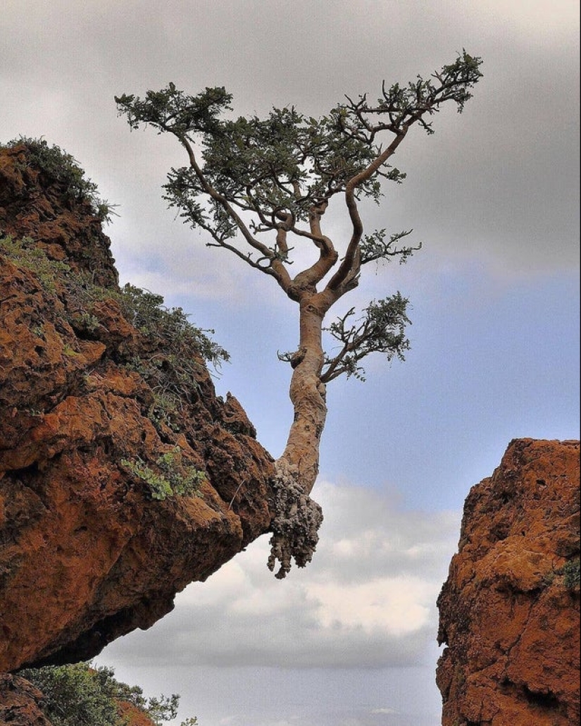 ¡No se puede jugar con la naturaleza! 22 fotos que te convencerán de esto