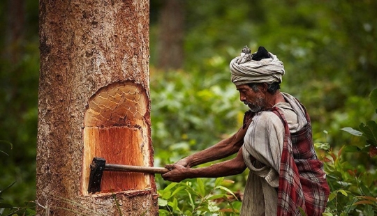 Nomads of raute — how the primitive tribe lives, whose days are numbered