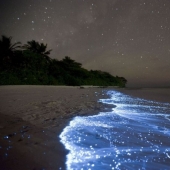 Not a drop of Photoshop! 25 photoproofs that from nature with imagination all right Not a drop of Photoshop! 25 photoproofs that from nature with imagination all right