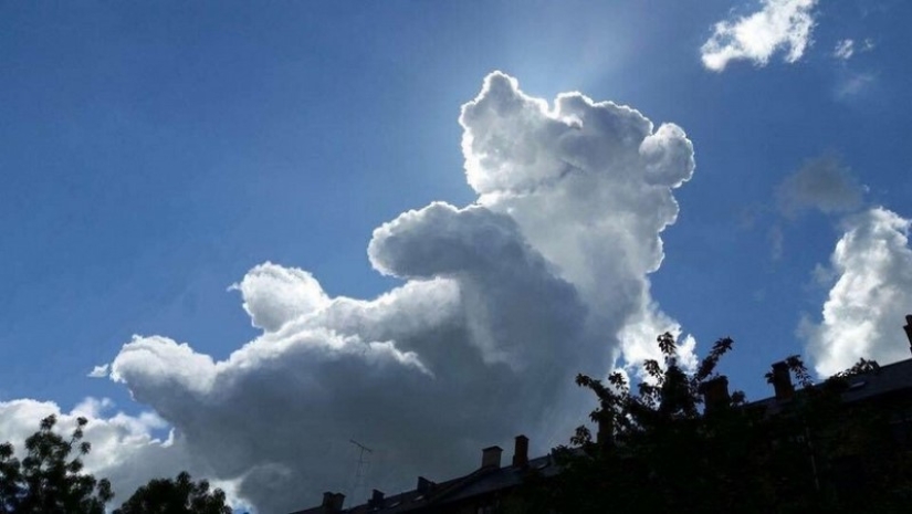 Not a drop of Photoshop! 25 photoproofs that from nature with imagination all right Not a drop of Photoshop! 25 photoproofs that from nature with imagination all right