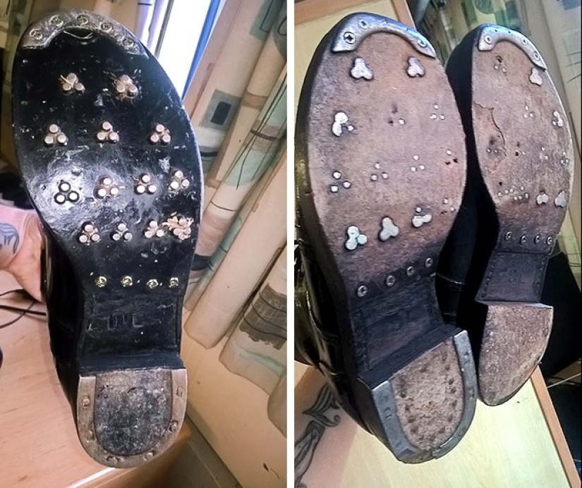 "Now I've seen everything": 25 photos, after viewing which you can safely say so "Now I've seen everything": 25 photos, after viewing which you can safely say so