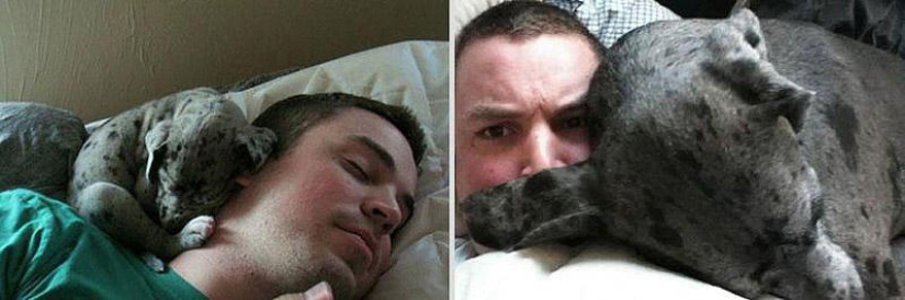 Nuestros animales favoritos: las imágenes antes y después de crecer