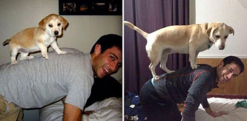 Nuestros animales favoritos: las imágenes antes y después de crecer