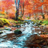 Och enchantment: los lugares más bellos para viajar en otoño Och enchantment: los lugares más bellos para viajar en otoño
