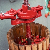 Oh, what a miracle — strawberry beer! Oh, what a miracle — strawberry beer!