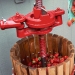 Oh, what a miracle — strawberry beer! Oh, what a miracle — strawberry beer!