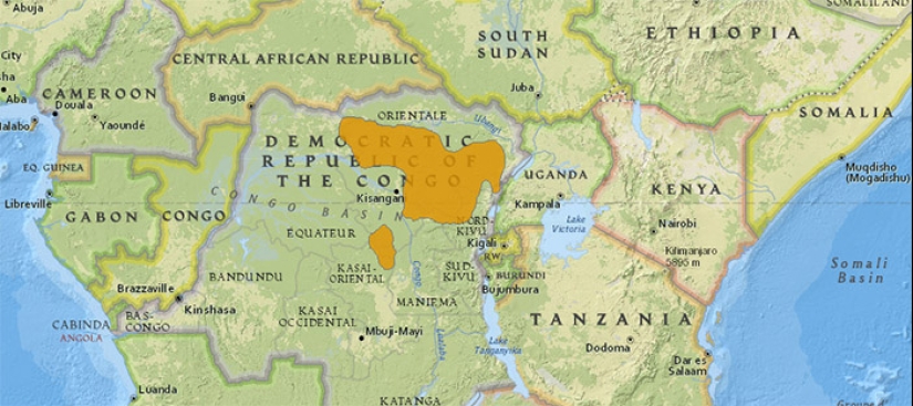 Okapi: un animal que incluso en el siglo XX los científicos consideraban un mito