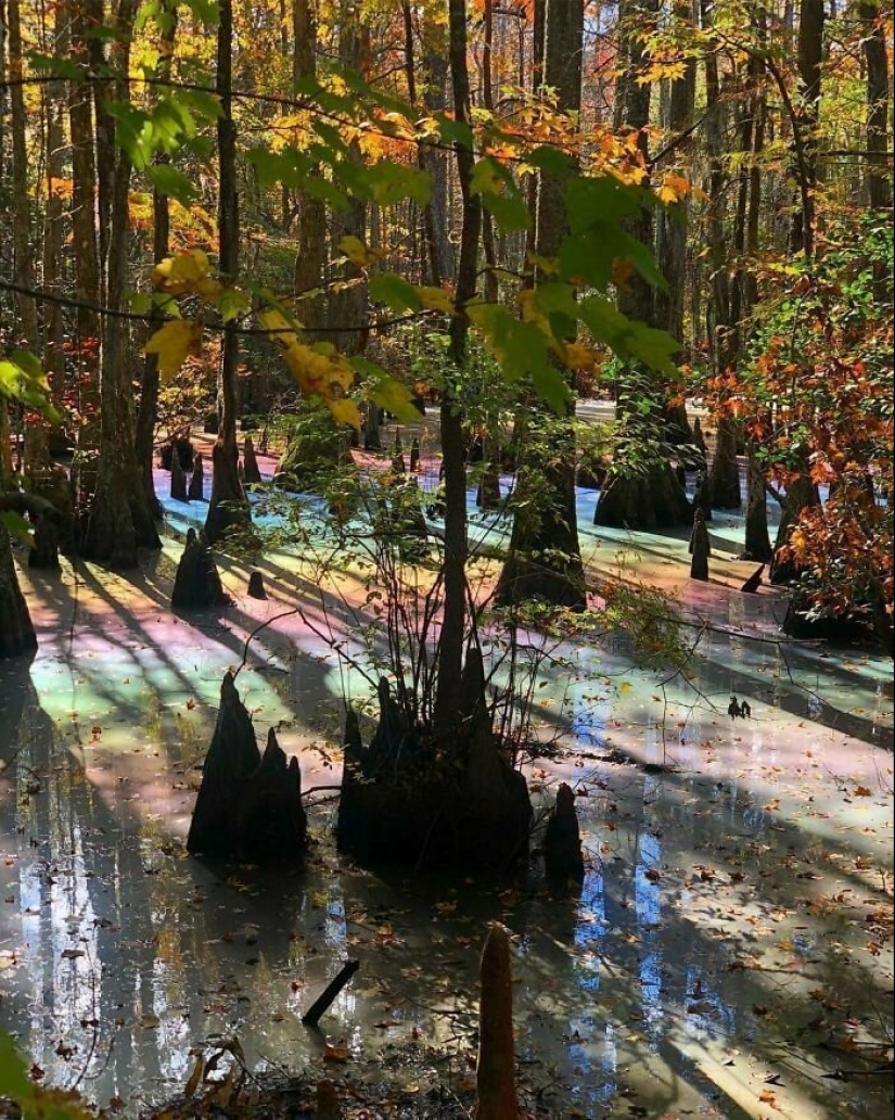 On this beautiful world: 22 strange findings that will amaze you On this beautiful world: 22 strange findings that will amaze you