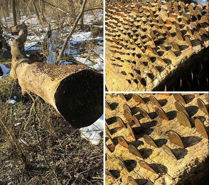 On this beautiful world: 22 strange findings that will amaze you On this beautiful world: 22 strange findings that will amaze you