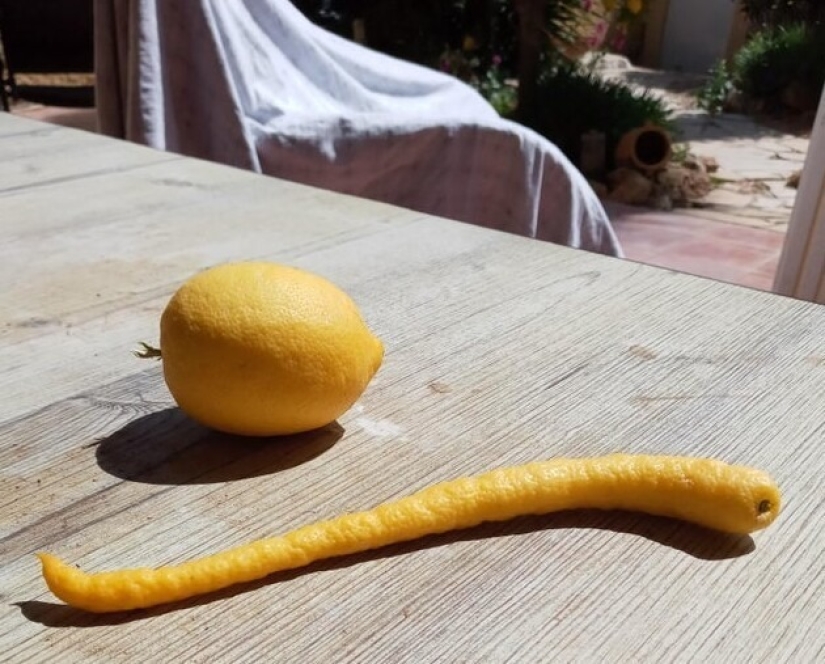 On this beautiful world: 22 strange findings that will amaze you On this beautiful world: 22 strange findings that will amaze you