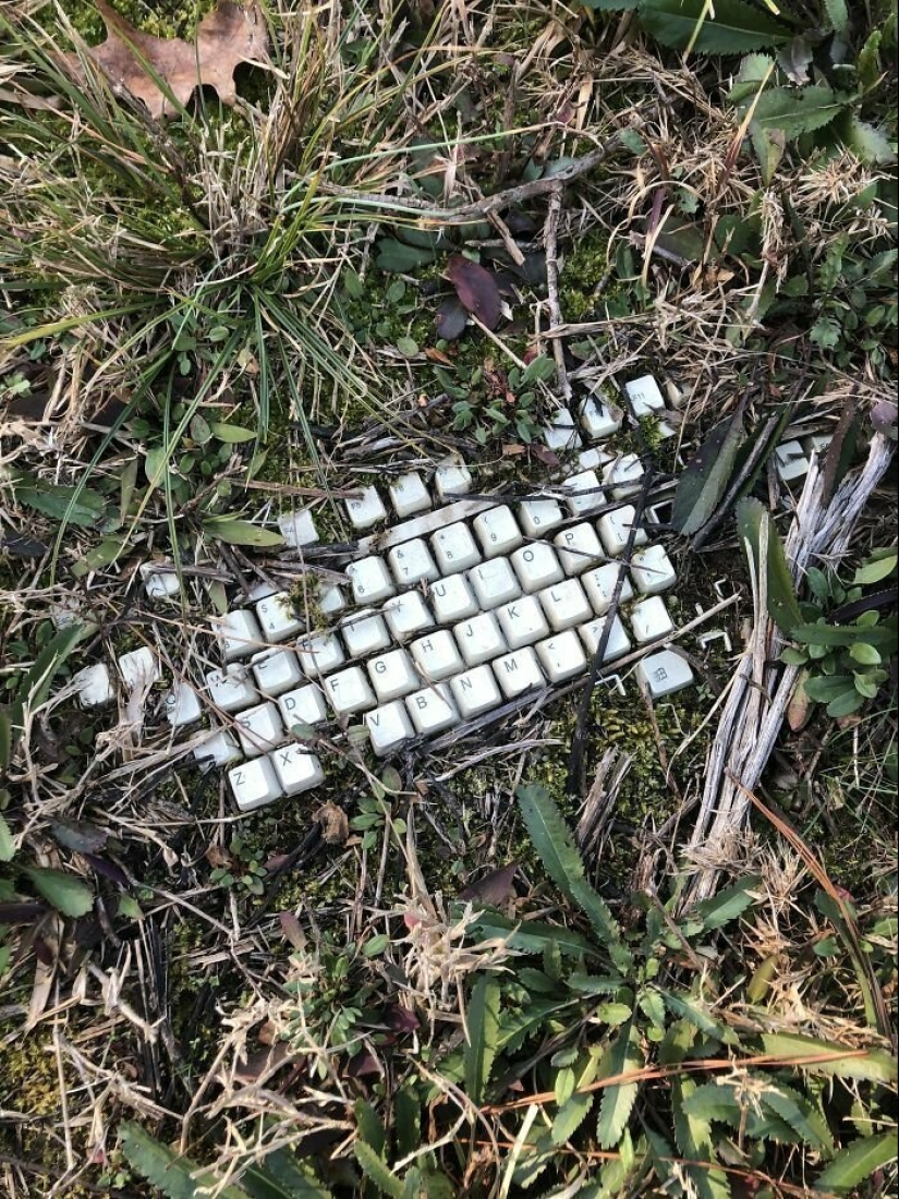 On this beautiful world: 22 strange findings that will amaze you On this beautiful world: 22 strange findings that will amaze you