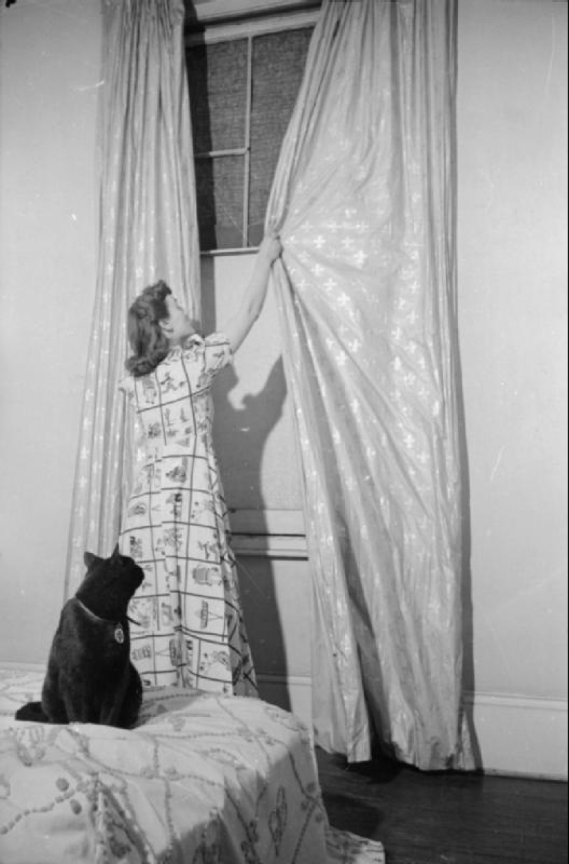 One day in the life of an Englishwoman in 1941
