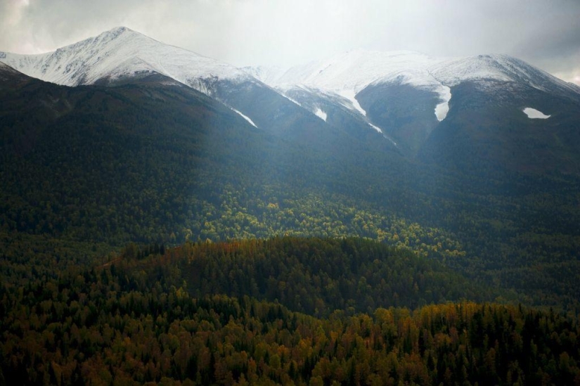 Otoño en las montañas de Kazajstán a vista de pájaro