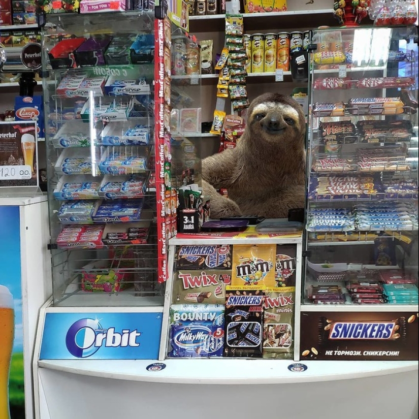 Otro Pedro: el artista pobló la ciudad con habitantes inusuales Otro Pedro: el artista pobló la ciudad con habitantes inusuales