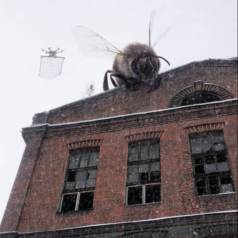 Otro Pedro: el artista pobló la ciudad con habitantes inusuales Otro Pedro: el artista pobló la ciudad con habitantes inusuales