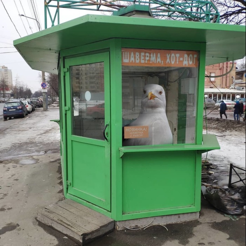 Otro Pedro: el artista pobló la ciudad con habitantes inusuales Otro Pedro: el artista pobló la ciudad con habitantes inusuales