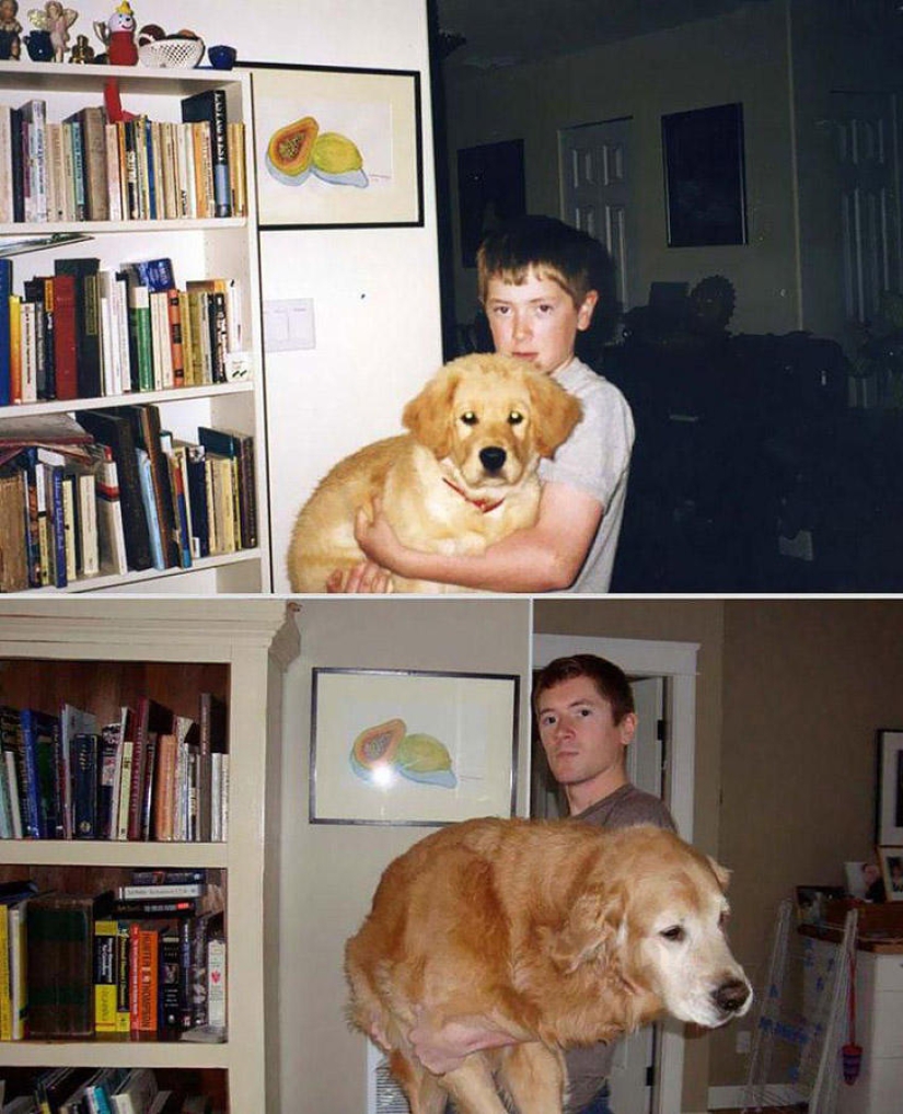 Our favorite animals: pictures before and after growing up
