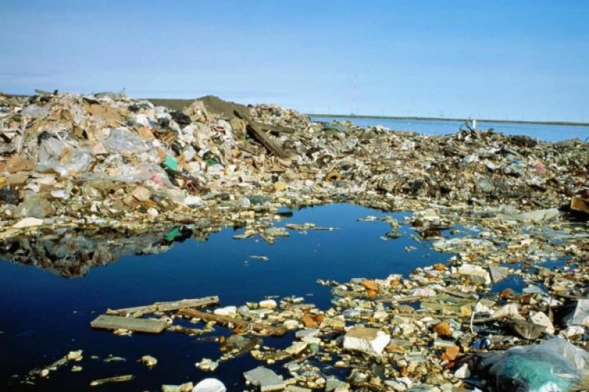 Pacific garbage patch: huge island of trash the size of France