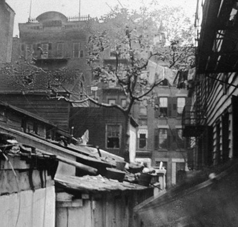 Pages of life of ordinary and poor Americans in New York of the XIX century Pages of life of ordinary and poor Americans in New York of the XIX century