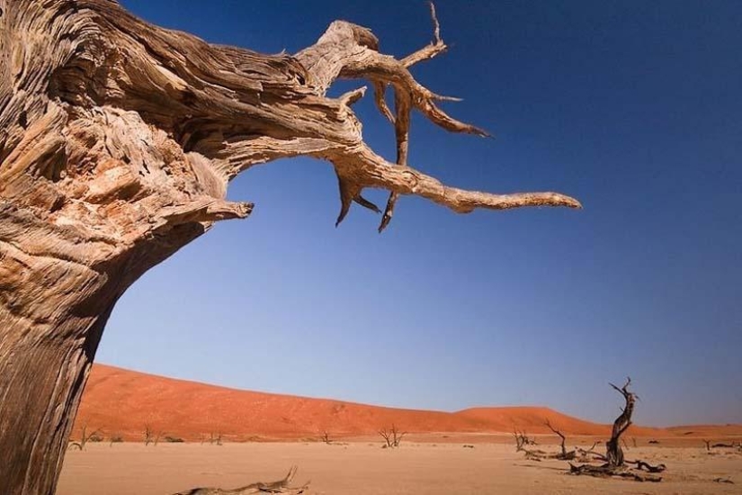 Paisajes surrealistas del Parque Namib-Naukluft Paisajes surrealistas del Parque Namib-Naukluft