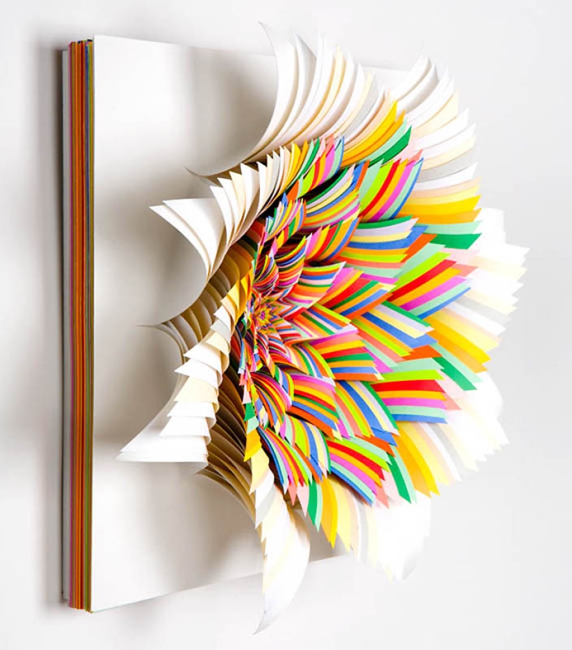 Paper Infinities by Jen Stark