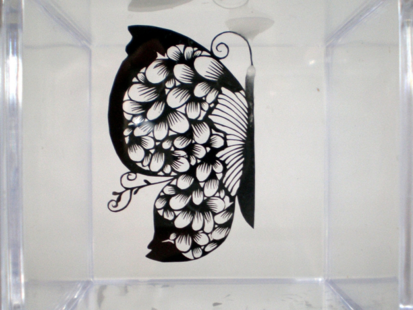 Paper lace by Hina Aoyama