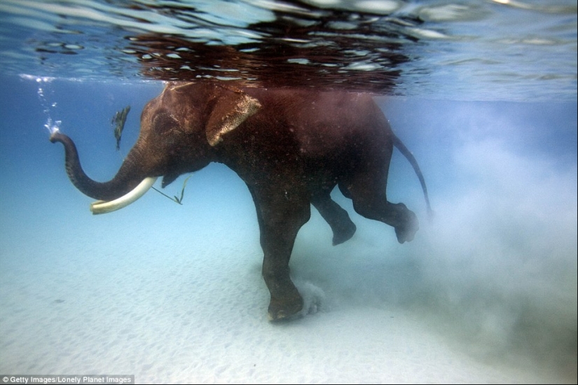 Paradise with the most transparent water in the world Paradise with the most transparent water in the world
