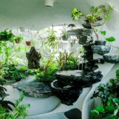Paraíso en la metrópoli: las plantas dieron vida a un apartamento de una habitación Paraíso en la metrópoli: las plantas dieron vida a un apartamento de una habitación