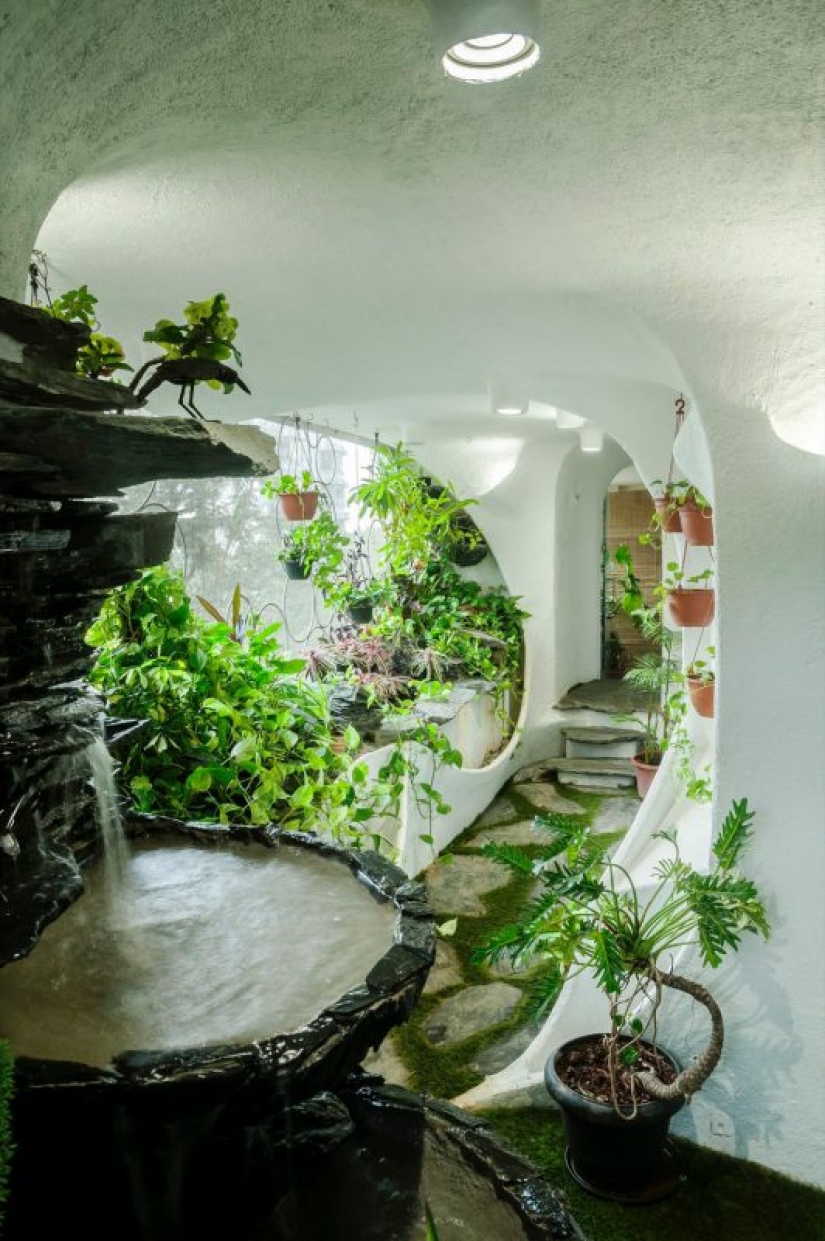 Paraíso en la metrópoli: las plantas dieron vida a un apartamento de una habitación