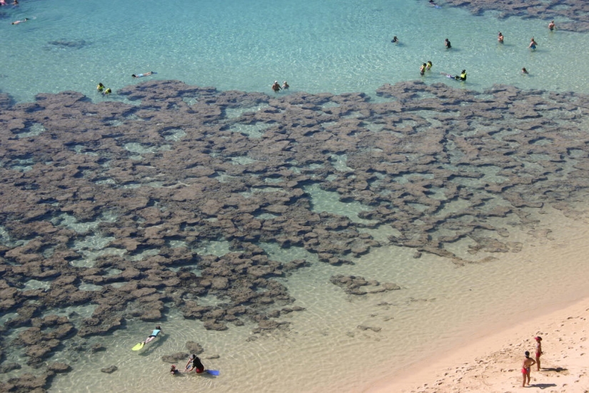 Paraíso terrenal-playa hawaiana dentro de un antiguo cráter