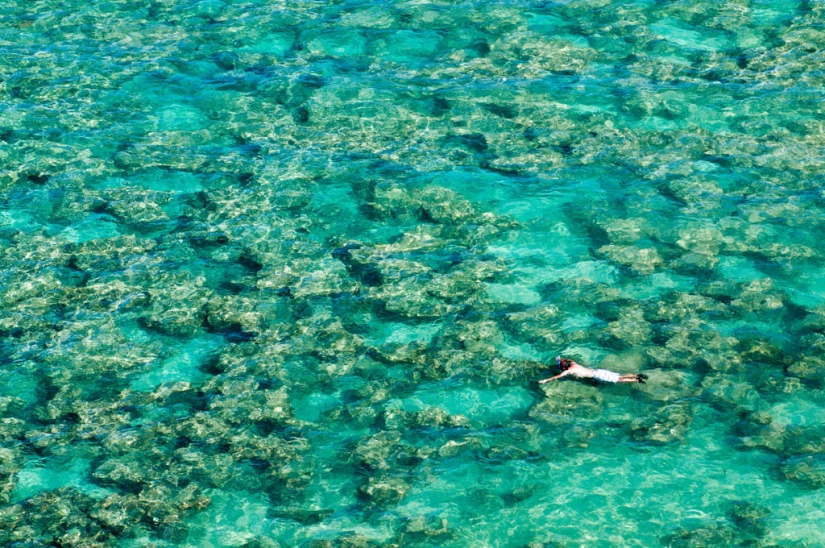 Paraíso terrenal-playa hawaiana dentro de un antiguo cráter