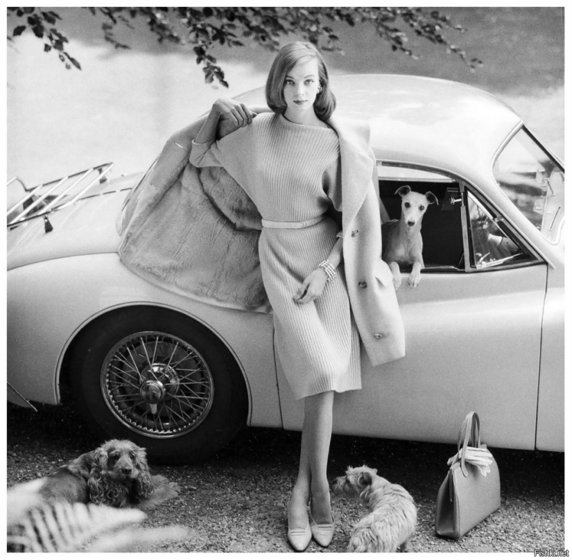 Pearl of the Scandinavian beauty dynasty: Nena von Schlebrugge, mother of Uma Thurman